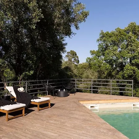 Retreat Haven Next To Nazare Vila Pataias