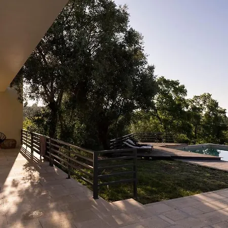 Retreat Haven Next To Nazare Vila